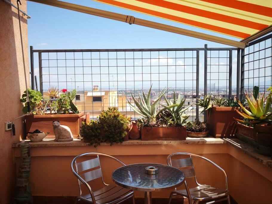 Rosa'S Terrace Roma Panoramic Penthouse Daire Dış mekan fotoğraf